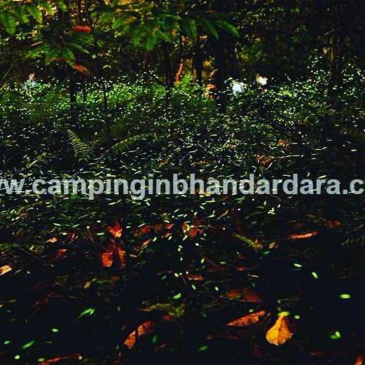 Hotel Samadhan Bhandardara Buitenkant foto